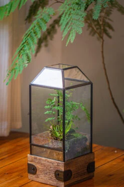 Handmade Glass Terrarium With Wood Base, Geometric Planter With Door, With LED Wood Lamp Base For Plants, Moss Landscapes, Plant Lover Gift -Glass Plant Store IMG 4289 1b674e54 c485 4e87 8242 7534238e6924