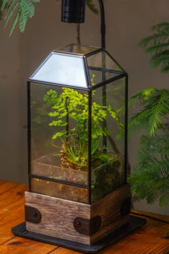 Handmade Glass Terrarium With Wood Base, Geometric Planter With Door, With LED Wood Lamp Base For Plants, Moss Landscapes, Plant Lover Gift -Glass Plant Store IMG 4307 1
