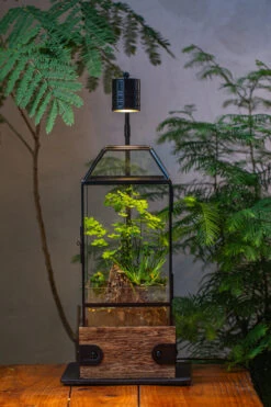 Handmade Glass Terrarium With Wood Base, Geometric Planter With Door, With LED Wood Lamp Base For Plants, Moss Landscapes, Plant Lover Gift -Glass Plant Store IMG 4309 1