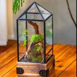 Handmade Glass Terrarium With Wood Base, Pyramid Shape Planter With Door, With LED Acrylic Lamp Base For Plants, Moss Landscapes, Plant Lover Gift 36 Handmade Glass Terrarium With Wood Base, Pyramid Shape Planter With Door, With LED Acrylic Lamp Base For Plants, Moss Landscapes, Plant Lover Gift -Glass Plant Store IMG 4467 0df73322 1f52 4fd5 89de 4de59c9550ca