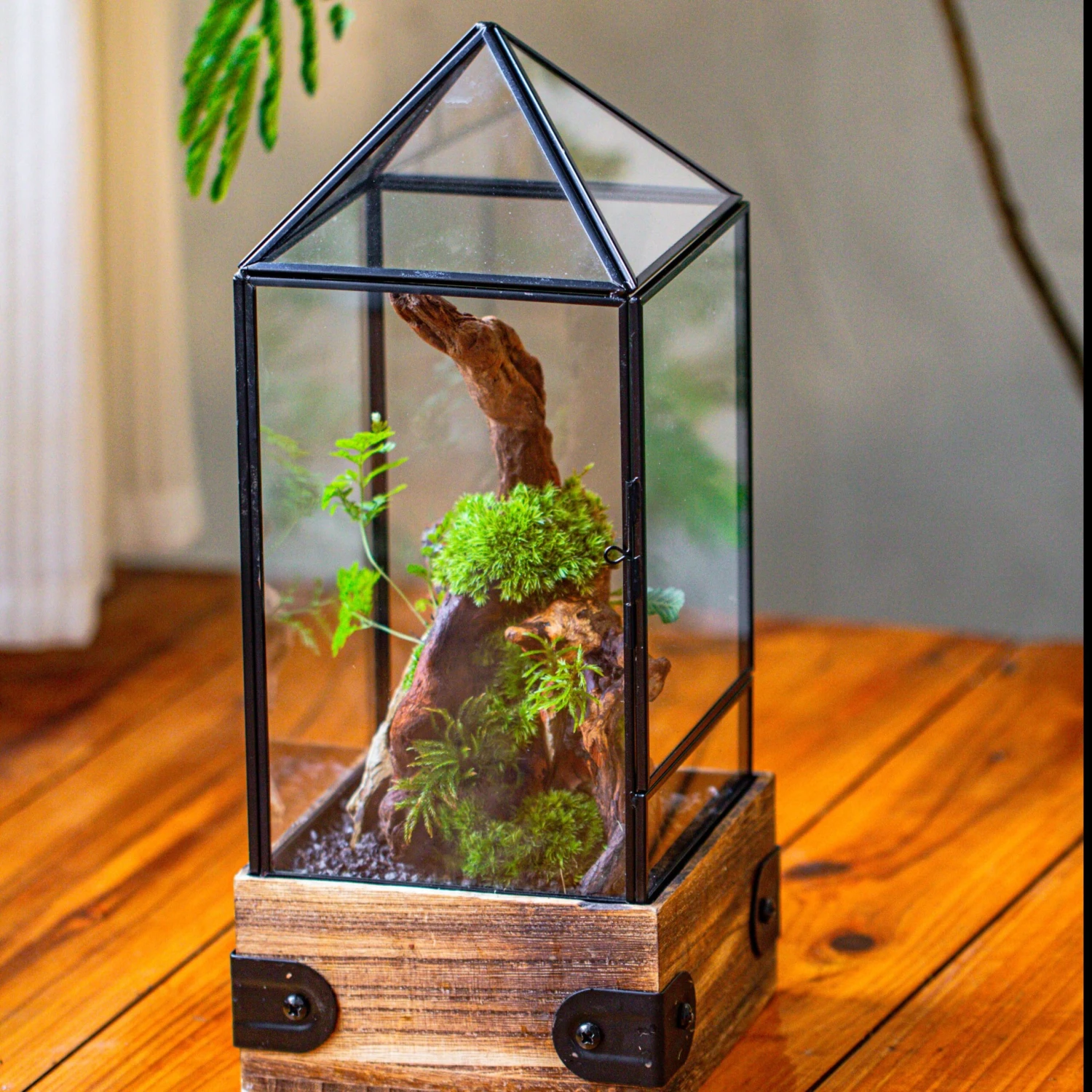 Handmade Glass Terrarium With Wood Base, Pyramid Shape Planter With Door, With LED Acrylic Lamp Base For Plants, Moss Landscapes, Plant Lover Gift 17 Handmade Glass Terrarium With Wood Base, Pyramid Shape Planter With Door, With LED Acrylic Lamp Base For Plants, Moss Landscapes, Plant Lover Gift - Image 17