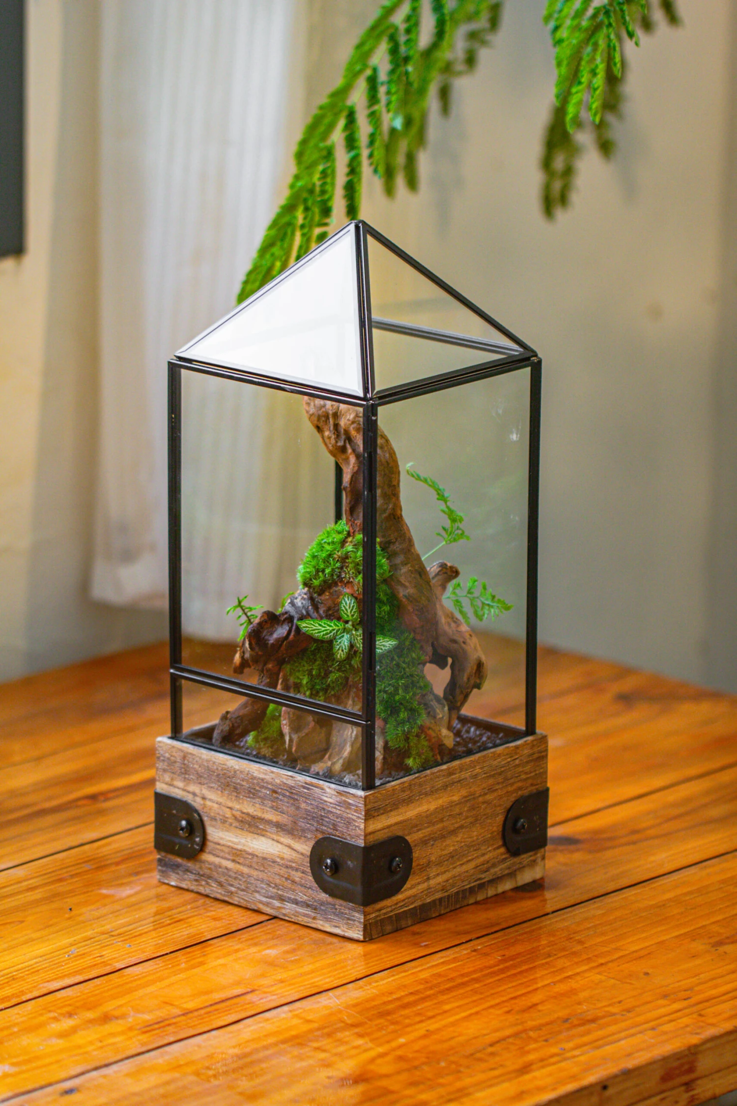 Handmade Glass Terrarium With Wood Base, Pyramid Shape Planter With Door, With LED Acrylic Lamp Base For Plants, Moss Landscapes, Plant Lover Gift 15 Handmade Glass Terrarium With Wood Base, Pyramid Shape Planter With Door, With LED Acrylic Lamp Base For Plants, Moss Landscapes, Plant Lover Gift - Image 15