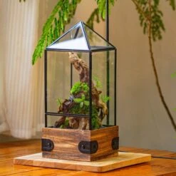 Handmade Glass Terrarium With Wood Base, Pyramid Shape Planter With Door, With LED Wood Lamp Base For Plants, Moss Landscapes, Plant Lover Gift