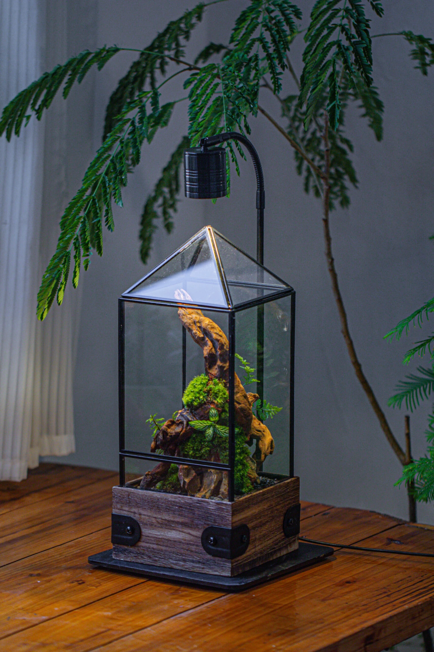 Handmade Glass Terrarium With Wood Base, Pyramid Shape Planter With Door, With LED Acrylic Lamp Base For Plants, Moss Landscapes, Plant Lover Gift 3 Handmade Glass Terrarium With Wood Base, Pyramid Shape Planter With Door, With LED Acrylic Lamp Base For Plants, Moss Landscapes, Plant Lover Gift - Image 3