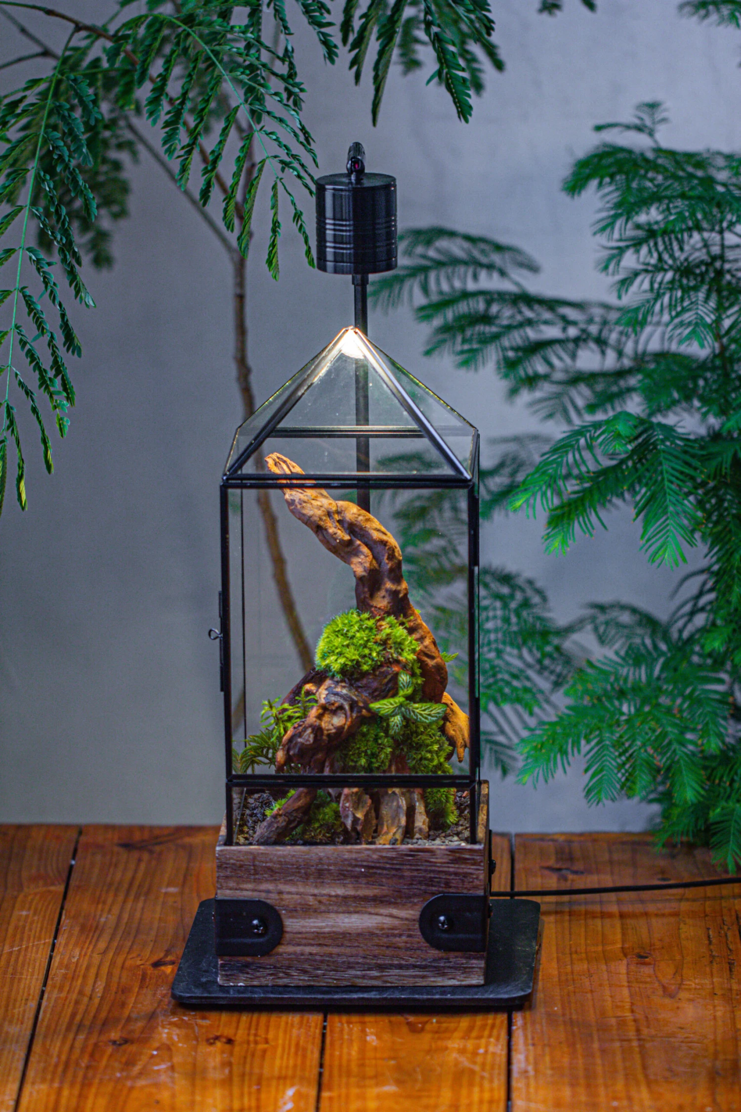 Handmade Glass Terrarium With Wood Base, Pyramid Shape Planter With Door, With LED Acrylic Lamp Base For Plants, Moss Landscapes, Plant Lover Gift 8 Handmade Glass Terrarium With Wood Base, Pyramid Shape Planter With Door, With LED Acrylic Lamp Base For Plants, Moss Landscapes, Plant Lover Gift - Image 8