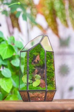 NCYP 8.66" Height Closed Irregular Glass Terrarium With Door Succulent Planter Geometric Flower Plant Pot Tabletop Small Bonsai -Glass Plant Store IMG 4537 aa7e5b64 4547 4011 9e88 deaec0f840c3