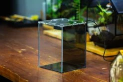 Watertight Glass Terrarium With LED Grow Light, Acrylic Lid For Moss Wall, Vertical Planting-12x12x18cm / 4.7x4.7x7.1'' 22 Watertight Glass Terrarium With LED Grow Light, Acrylic Lid For Moss Wall, Vertical Planting-12x12x18cm / 4.7x4.7x7.1'' -Glass Plant Store IMG 4769 e5ba8495 4fb2 486c b8e0 096768cb7db0