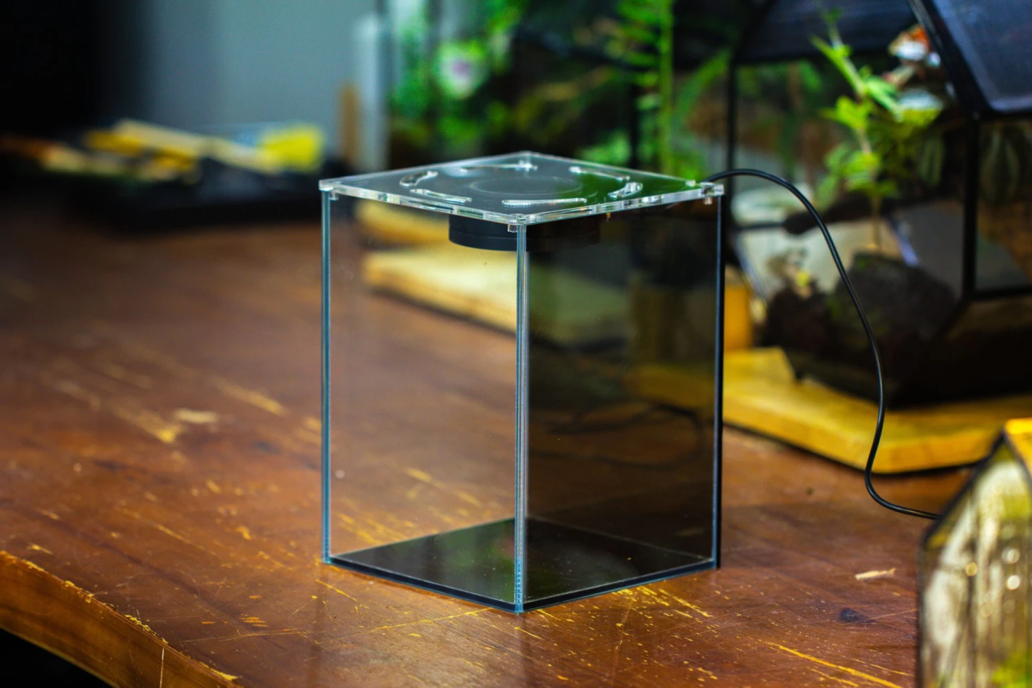 Watertight Glass Terrarium With LED Grow Light, Acrylic Lid For Moss Wall, Vertical Planting-12x12x18cm / 4.7x4.7x7.1'' 3 Watertight Glass Terrarium With LED Grow Light, Acrylic Lid For Moss Wall, Vertical Planting-12x12x18cm / 4.7x4.7x7.1'' - Image 3