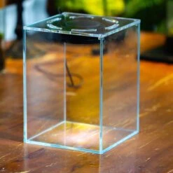 Watertight Glass Tank , Acrylic Lid, Terrarium Kit For Tropical Plants-25x25x30cm / 9.8x9.8x11.8'' 25 Watertight Glass Tank , Acrylic Lid, Terrarium Kit For Tropical Plants-25x25x30cm / 9.8x9.8x11.8'' -Glass Plant Store IMG 4779 1 5