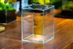 Watertight Glass Tank With LED Grow Light, Acrylic Lid, DIY Terrarium Kit-20x20x20cm / 7.8x7.8x7.8'' 27 Watertight Glass Tank With LED Grow Light, Acrylic Lid, DIY Terrarium Kit-20x20x20cm / 7.8x7.8x7.8'' -Glass Plant Store IMG 4779 5e4f12da b74c 488e 8b98 1b444b2c84b8 4