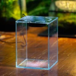 Watertight Glass Tank With LED Grow Light, Acrylic Lid, DIY Terrarium Kit-15x15x18cm / 5.9x5.9x7.1'' 29 Watertight Glass Tank With LED Grow Light, Acrylic Lid, DIY Terrarium Kit-15x15x18cm / 5.9x5.9x7.1'' -Glass Plant Store IMG 4781 1 bf973282 48ce 4715 92c1 5b722c8731e2 10