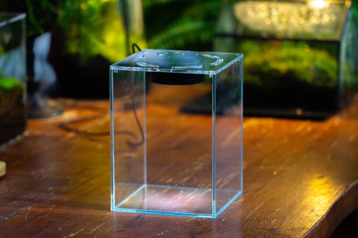 Watertight Glass Tank With LED Grow Light, Acrylic Lid, DIY Terrarium Kit-15x15x18cm / 5.9x5.9x7.1'' 14 Watertight Glass Tank With LED Grow Light, Acrylic Lid, DIY Terrarium Kit-15x15x18cm / 5.9x5.9x7.1'' - Image 14