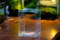 Watertight Glass Terrarium With LED Grow Light, Acrylic Lid For Carnivorous Plants-15x15x18cm / 5.9x5.9x7.1'' 26 Watertight Glass Terrarium With LED Grow Light, Acrylic Lid For Carnivorous Plants-15x15x18cm / 5.9x5.9x7.1'' -Glass Plant Store IMG 4781 e14eda37 2b20 44bf 9c03 6e8529ad4a91 6