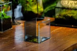 Watertight Glass Terrarium With LED Grow Light, Acrylic Lid For Moss Wall, Vertical Planting -15x11x13cm / 5.9x4.3x5.1'' 23 Watertight Glass Terrarium With LED Grow Light, Acrylic Lid For Moss Wall, Vertical Planting -15x11x13cm / 5.9x4.3x5.1'' -Glass Plant Store IMG 4794 8e5b664e c0fb 43ca a097 2750759e6d78