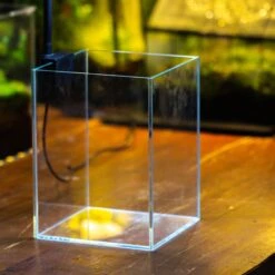 Watertight Glass Terrarium With LED Grow Light, Acrylic Lid For Carnivorous Plants-25x25x30cm / 9.8x9.8x11.8'' 30 Watertight Glass Terrarium With LED Grow Light, Acrylic Lid For Carnivorous Plants-25x25x30cm / 9.8x9.8x11.8'' -Glass Plant Store IMG 4888 1