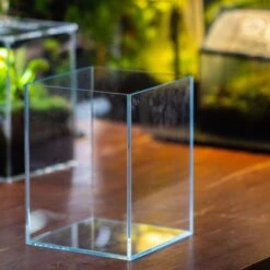 Watertight Glass Terrarium With LED Grow Light, Acrylic Lid For Carnivorous Plants-25x25x30cm / 9.8x9.8x11.8'' 32 Watertight Glass Terrarium With LED Grow Light, Acrylic Lid For Carnivorous Plants-25x25x30cm / 9.8x9.8x11.8'' -Glass Plant Store IMG 4890 1