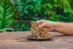 Dried Moss, 24L For DIY, Terrarium Building, Microlandscape, Orchid, Fern, Vertical Gardening 24 Dried Moss, 24L For DIY, Terrarium Building, Microlandscape, Orchid, Fern, Vertical Gardening -Glass Plant Store IMG 5025