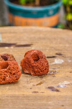 5-8cm Red Horticultural Lava Rock Volcanic Rock For Terrarium, Bonsai Landscape, 500g 33 5-8cm Red Horticultural Lava Rock Volcanic Rock For Terrarium, Bonsai Landscape, 500g -Glass Plant Store IMG 5142