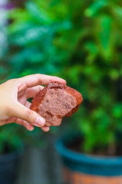 5-8cm Red Horticultural Lava Rock Volcanic Rock For Terrarium, Bonsai Landscape, 500g 28 5-8cm Red Horticultural Lava Rock Volcanic Rock For Terrarium, Bonsai Landscape, 500g -Glass Plant Store IMG 5145