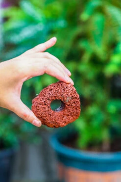 5-8cm Red Horticultural Lava Rock Volcanic Rock For Terrarium, Bonsai Landscape, 500g 27 5-8cm Red Horticultural Lava Rock Volcanic Rock For Terrarium, Bonsai Landscape, 500g -Glass Plant Store IMG 5146