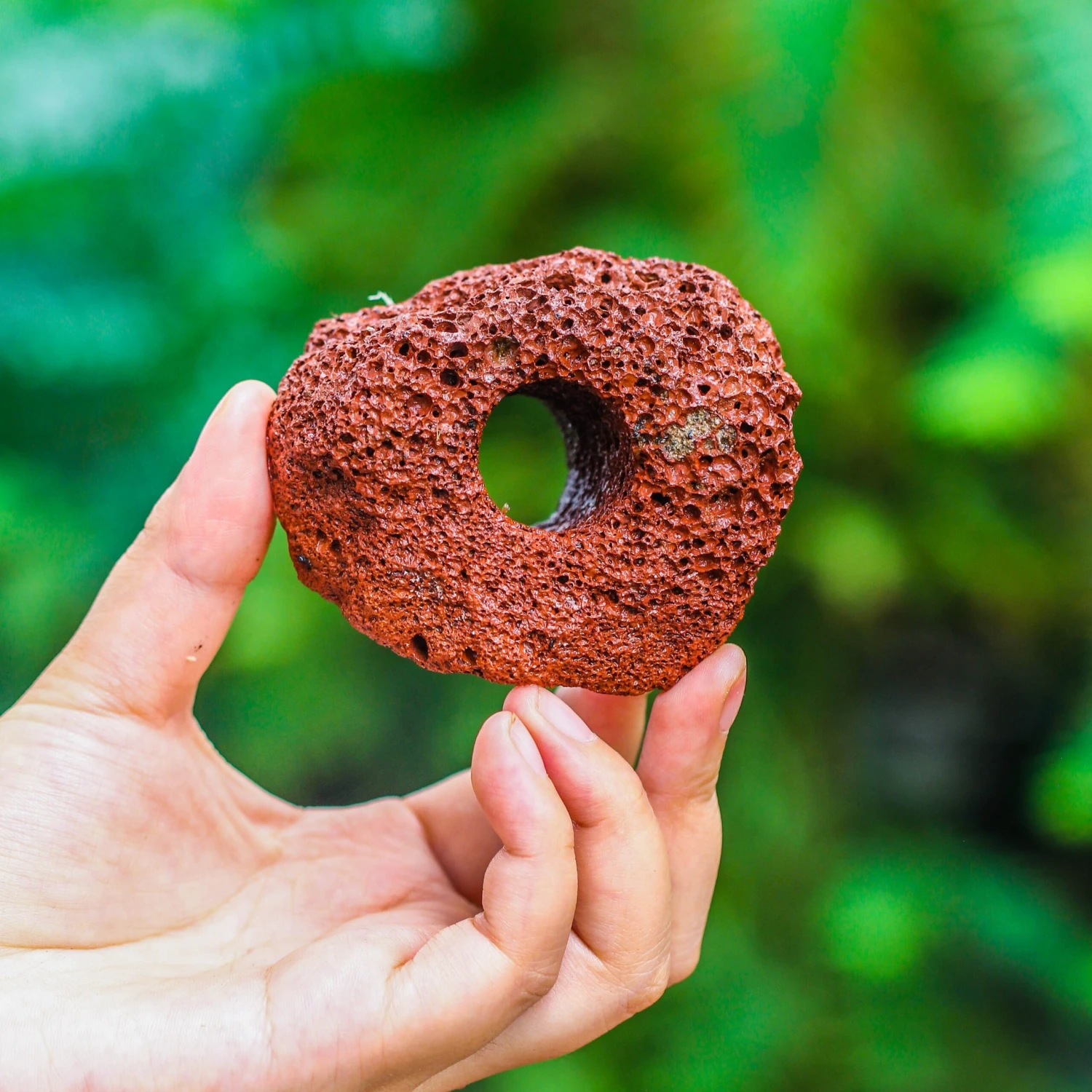 5-8cm Red Horticultural Lava Rock Volcanic Rock For Terrarium, Bonsai Landscape, 500g 3 5-8cm Red Horticultural Lava Rock Volcanic Rock For Terrarium, Bonsai Landscape, 500g - Image 3