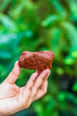 5-8cm Red Horticultural Lava Rock Volcanic Rock For Terrarium, Bonsai Landscape, 500g 29 5-8cm Red Horticultural Lava Rock Volcanic Rock For Terrarium, Bonsai Landscape, 500g -Glass Plant Store IMG 5148