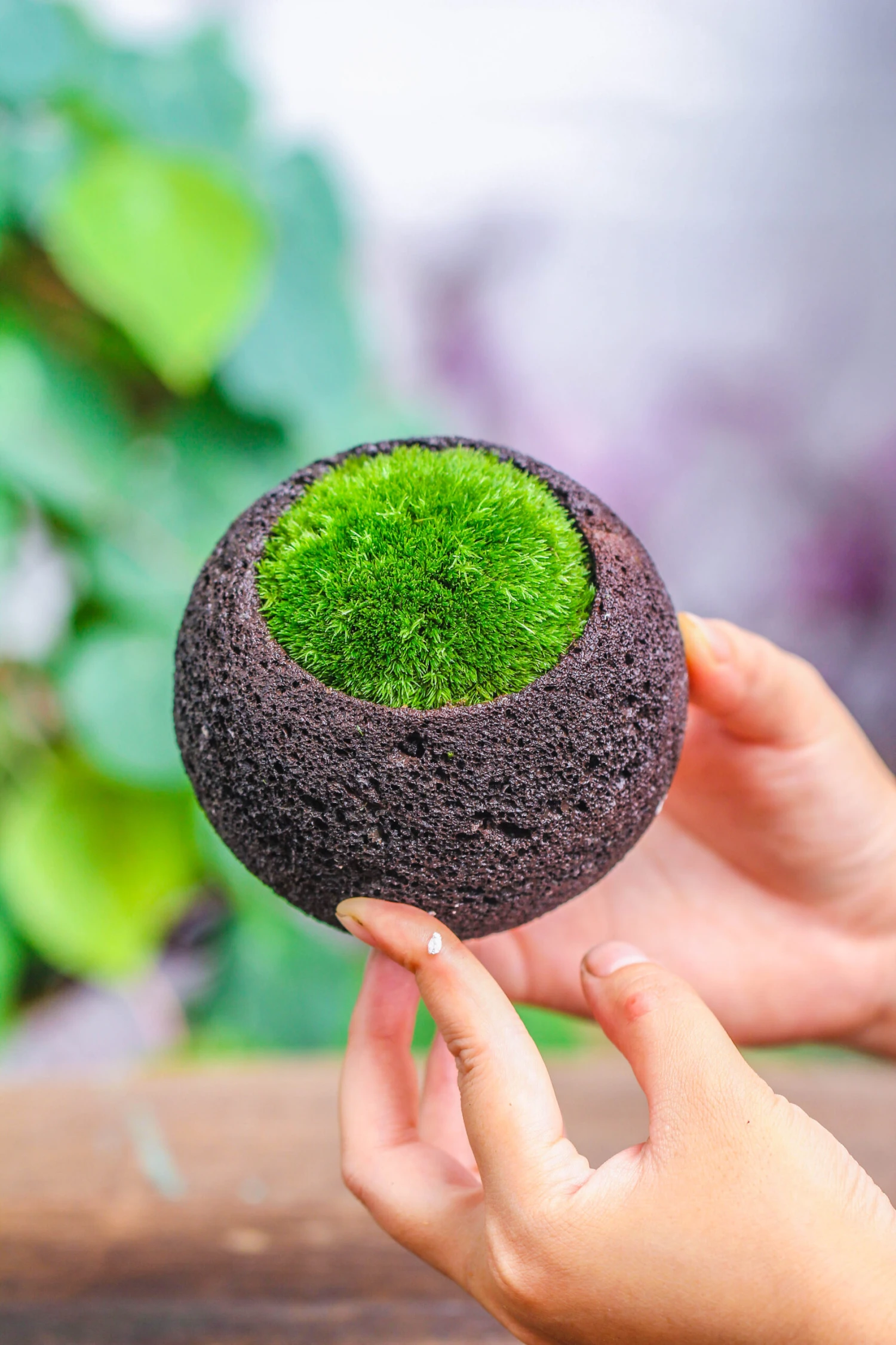 3 Units 8cm / 3.1" Round Black Horticultural Lava Rock Volcanic Rock Planter For Succulents, Moss, Tropical Palants, Terrariums 9 3 Units 8cm / 3.1" Round Black Horticultural Lava Rock Volcanic Rock Planter For Succulents, Moss, Tropical Palants, Terrariums - Image 9