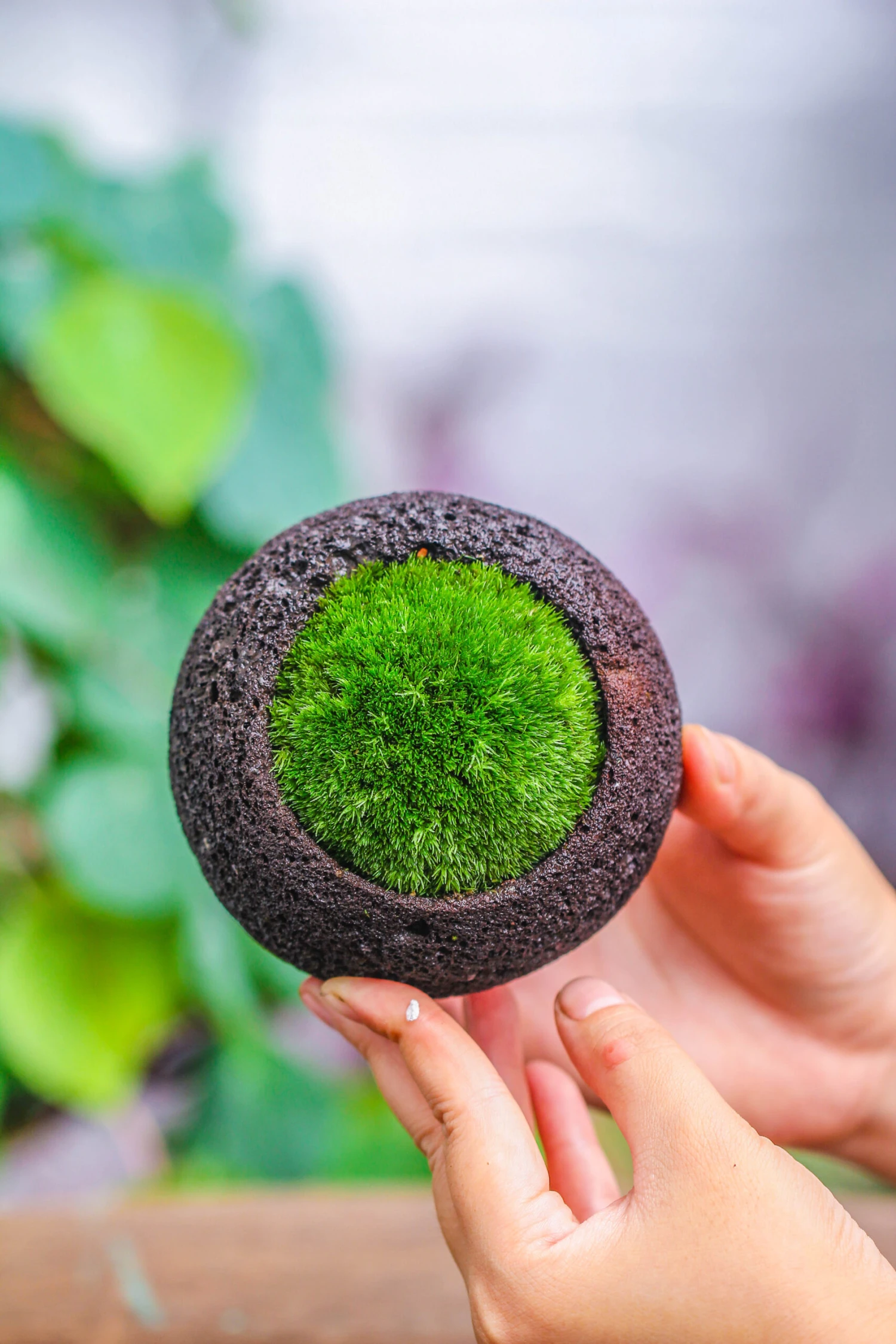 3 Units 8cm / 3.1" Round Black Horticultural Lava Rock Volcanic Rock Planter For Succulents, Moss, Tropical Palants, Terrariums 8 3 Units 8cm / 3.1" Round Black Horticultural Lava Rock Volcanic Rock Planter For Succulents, Moss, Tropical Palants, Terrariums - Image 8