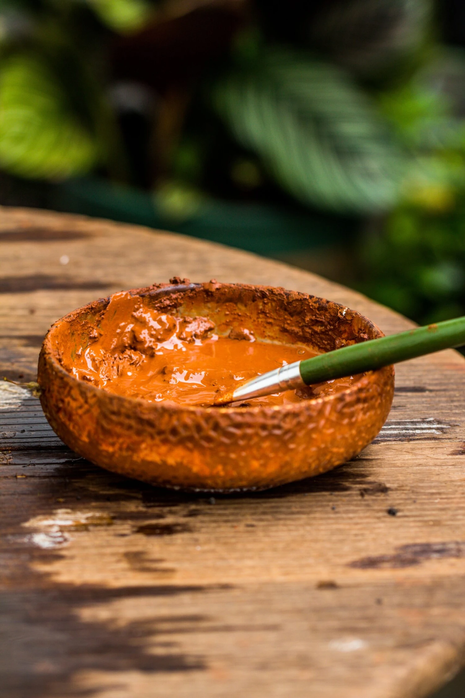 Rain Forest Sticky Red Clay For DIY Moss Wall, Plant Moss / Plants On The Wall, Vertical Landscape, Vivarium, Terrarium 10 Rain Forest Sticky Red Clay For DIY Moss Wall, Plant Moss / Plants On The Wall, Vertical Landscape, Vivarium, Terrarium - Image 10