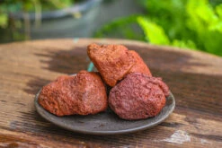5-8cm Red Horticultural Lava Rock Volcanic Rock For Terrarium, Bonsai Landscape, 500g 31 5-8cm Red Horticultural Lava Rock Volcanic Rock For Terrarium, Bonsai Landscape, 500g -Glass Plant Store IMG 5290