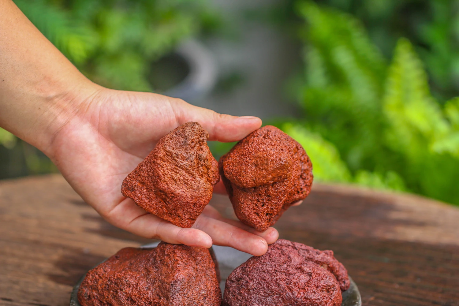 5-8cm Red Horticultural Lava Rock Volcanic Rock For Terrarium, Bonsai Landscape, 500g 13 5-8cm Red Horticultural Lava Rock Volcanic Rock For Terrarium, Bonsai Landscape, 500g - Image 13