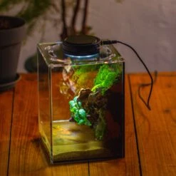 Watertight Glass Terrarium With LED Grow Light, Acrylic Lid For Moss Wall, Vertical Planting -15x15x20cm / 5.9x5.9x7.8 25 Watertight Glass Terrarium With LED Grow Light, Acrylic Lid For Moss Wall, Vertical Planting -15x15x20cm / 5.9x5.9x7.8 -Glass Plant Store IMG 5297 7eb0f9f4 df12 475e a438 5bceb950cff7
