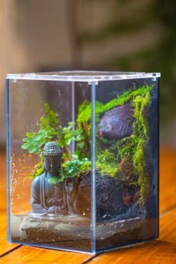 Watertight Glass Terrarium With LED Grow Light, Acrylic Lid For Moss Wall, Vertical Planting-12x12x18cm / 4.7x4.7x7.1'' 23 Watertight Glass Terrarium With LED Grow Light, Acrylic Lid For Moss Wall, Vertical Planting-12x12x18cm / 4.7x4.7x7.1'' -Glass Plant Store IMG 5449 a2251189 ed52 4e79 8eda e38f7d64c53f