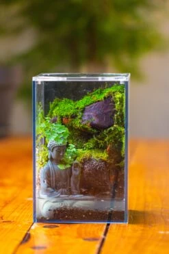 Watertight Glass Terrarium With LED Grow Light, Acrylic Lid For Moss Wall, Vertical Planting-12x12x18cm / 4.7x4.7x7.1'' 24 Watertight Glass Terrarium With LED Grow Light, Acrylic Lid For Moss Wall, Vertical Planting-12x12x18cm / 4.7x4.7x7.1'' -Glass Plant Store IMG 5451 f85a6ec9 413e 4454 af8d af60955ff962