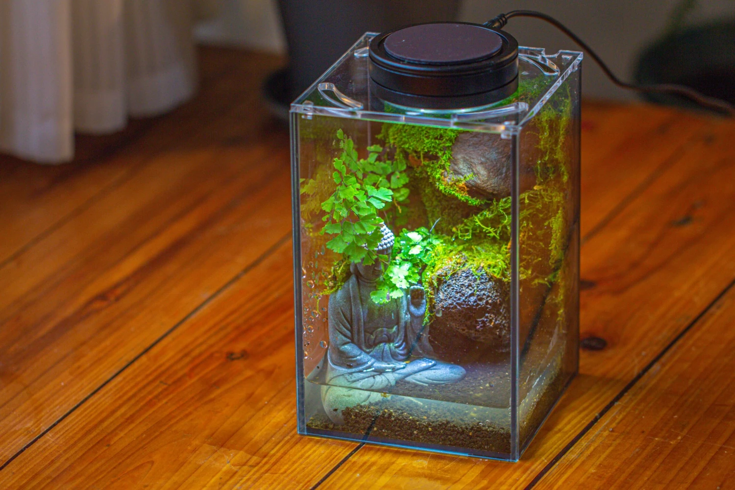 Watertight Glass Terrarium With LED Grow Light, Acrylic Lid For Moss Wall, Vertical Planting-12x12x18cm / 4.7x4.7x7.1'' 20 Watertight Glass Terrarium With LED Grow Light, Acrylic Lid For Moss Wall, Vertical Planting-12x12x18cm / 4.7x4.7x7.1'' - Image 20