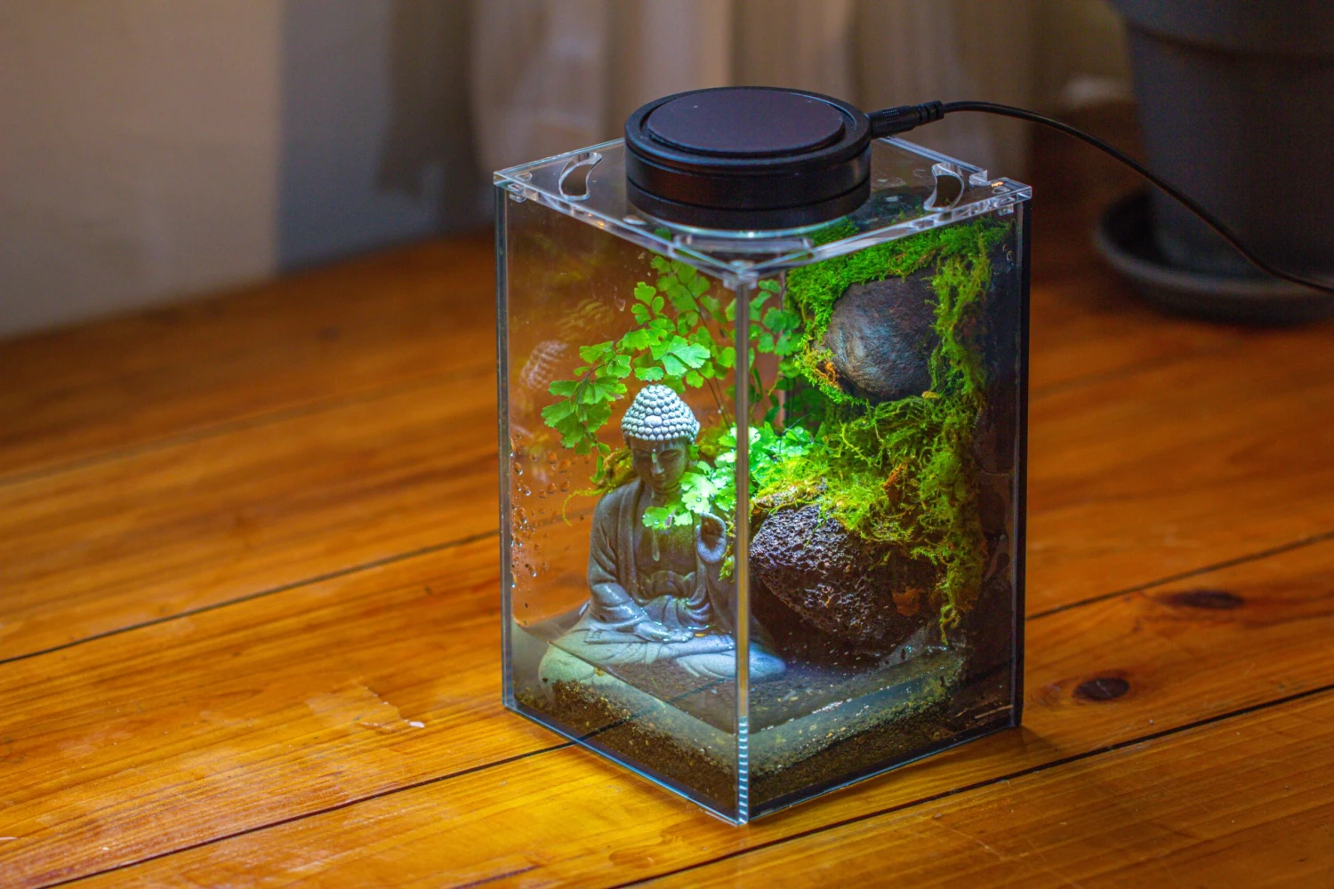 Watertight Glass Terrarium With LED Grow Light, Acrylic Lid For Moss Wall, Vertical Planting-12x12x18cm / 4.7x4.7x7.1'' 15 Watertight Glass Terrarium With LED Grow Light, Acrylic Lid For Moss Wall, Vertical Planting-12x12x18cm / 4.7x4.7x7.1'' - Image 15