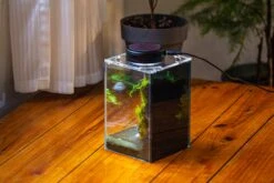 Watertight Glass Terrarium With LED Grow Light, Acrylic Lid For Moss Wall, Vertical Planting-12x12x18cm / 4.7x4.7x7.1'' 29 Watertight Glass Terrarium With LED Grow Light, Acrylic Lid For Moss Wall, Vertical Planting-12x12x18cm / 4.7x4.7x7.1'' -Glass Plant Store IMG 5464 a5781471 edad 4707 a1f4 ca28a6a63fdb