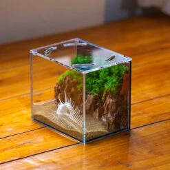 Watertight Glass Terrarium With LED Grow Light, Acrylic Lid For Moss Wall, Vertical Planting -15x11x13cm / 5.9x4.3x5.1'' 27 Watertight Glass Terrarium With LED Grow Light, Acrylic Lid For Moss Wall, Vertical Planting -15x11x13cm / 5.9x4.3x5.1'' -Glass Plant Store IMG 5471 2