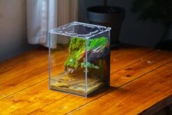 Watertight Glass Terrarium With LED Grow Light, Acrylic Lid For Moss Wall, Vertical Planting -15x15x20cm / 5.9x5.9x7.8 39 Watertight Glass Terrarium With LED Grow Light, Acrylic Lid For Moss Wall, Vertical Planting -15x15x20cm / 5.9x5.9x7.8 -Glass Plant Store IMG 5622 2 b25abd56 d625 40f6 8b4c e27dccb6c60f