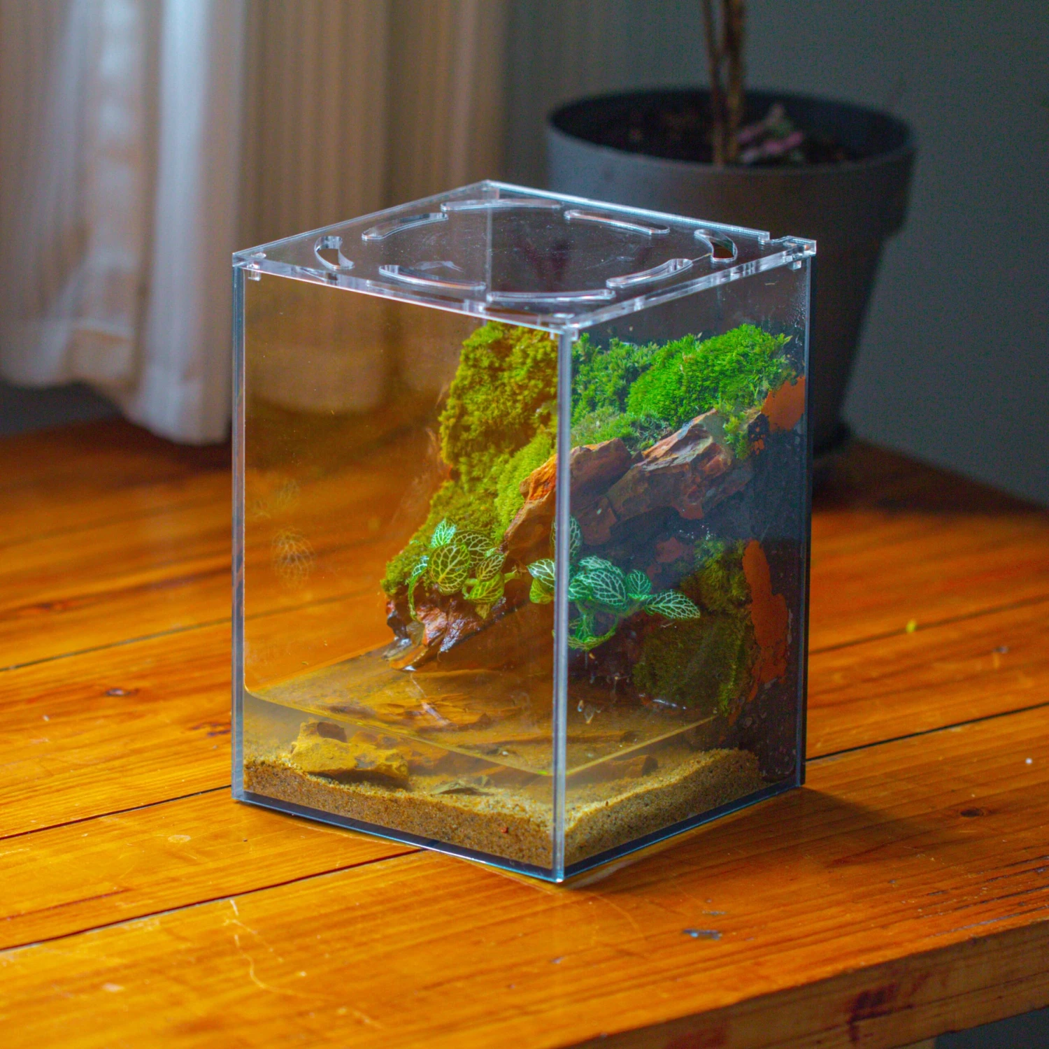 Watertight Glass Terrarium With LED Grow Light, Acrylic Lid For Moss Wall, Vertical Planting -15x15x20cm / 5.9x5.9x7.8 7 Watertight Glass Terrarium With LED Grow Light, Acrylic Lid For Moss Wall, Vertical Planting -15x15x20cm / 5.9x5.9x7.8 - Image 7