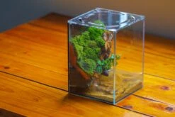 Watertight Glass Terrarium With LED Grow Light, Acrylic Lid For Moss Wall, Vertical Planting -15x15x20cm / 5.9x5.9x7.8 35 Watertight Glass Terrarium With LED Grow Light, Acrylic Lid For Moss Wall, Vertical Planting -15x15x20cm / 5.9x5.9x7.8 -Glass Plant Store IMG 5626 679cbfa8 0b85 4d19 898a d270ffa8a8d6