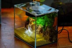Watertight Glass Terrarium With LED Grow Light, Acrylic Lid For Moss Wall, Vertical Planting -15x11x13cm / 5.9x4.3x5.1'' 24 Watertight Glass Terrarium With LED Grow Light, Acrylic Lid For Moss Wall, Vertical Planting -15x11x13cm / 5.9x4.3x5.1'' -Glass Plant Store IMG 5698