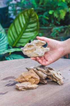 5-12cm Natural Ohko Dragon Stone Rock For Terrarium, Aquarium Bonsai Landscape, 500g 20 5-12cm Natural Ohko Dragon Stone Rock For Terrarium, Aquarium Bonsai Landscape, 500g -Glass Plant Store IMG 5804