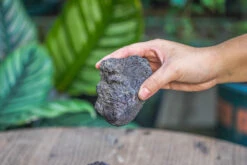 5-8cm Black Horticultural Lava Rock Volcanic Rock For Terrarium, Bonsai Landscape, 500g 14 5-8cm Black Horticultural Lava Rock Volcanic Rock For Terrarium, Bonsai Landscape, 500g -Glass Plant Store IMG 5883
