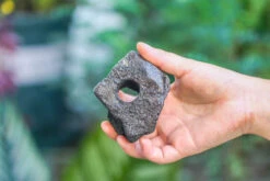 5-8cm Black Horticultural Lava Rock Volcanic Rock For Terrarium, Bonsai Landscape, 500g 16 5-8cm Black Horticultural Lava Rock Volcanic Rock For Terrarium, Bonsai Landscape, 500g -Glass Plant Store IMG 5887