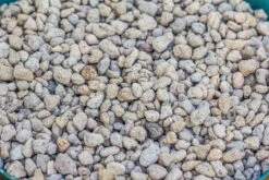 Grey White Horticultural Lava Rock Volcanic Rock 26 Grey White Horticultural Lava Rock Volcanic Rock -Glass Plant Store IMG 5989