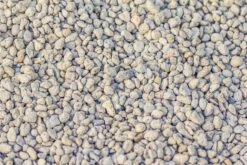 Grey White Horticultural Lava Rock Volcanic Rock 27 Grey White Horticultural Lava Rock Volcanic Rock -Glass Plant Store IMG 5992