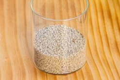 Grey White Horticultural Lava Rock Volcanic Rock 32 Grey White Horticultural Lava Rock Volcanic Rock -Glass Plant Store IMG 5999