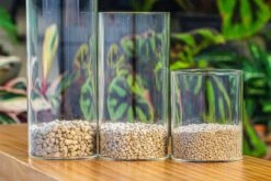 Grey White Horticultural Lava Rock Volcanic Rock 33 Grey White Horticultural Lava Rock Volcanic Rock -Glass Plant Store IMG 6004