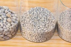 Grey White Horticultural Lava Rock Volcanic Rock 37 Grey White Horticultural Lava Rock Volcanic Rock -Glass Plant Store IMG 6010